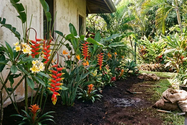Colourful tropical flower beds planted at a Bali villa garden